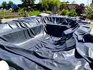 piscina convertida en estanque