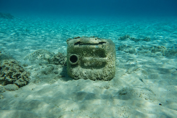 la mayoría del plastico acaba hundiéndose y depositándose en el fondo del mar.