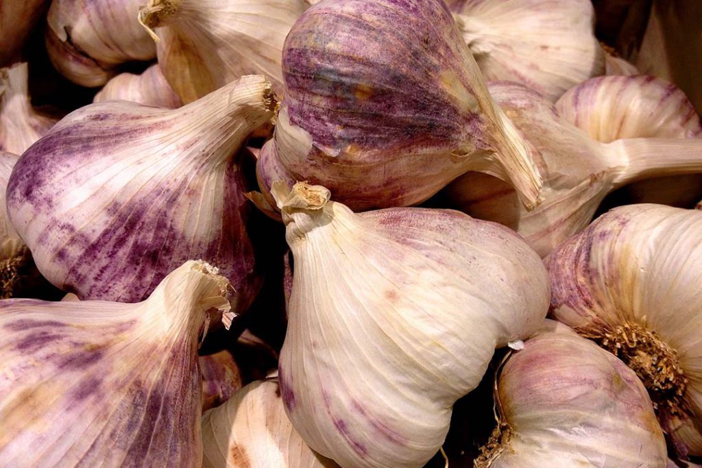 El coronavirus se puede curar con agua de ajo hervida es FALSO.