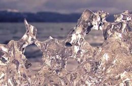 Curiosidades sobre el agua