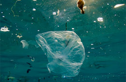 La mancha de plásticos del Pacífico triplica ya la superficie de España