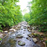 Las aguas europeas no cumplen el objetivo mínimo de «buen estado» de la Unión Europea