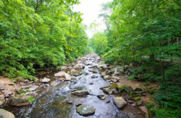 Las aguas europeas no cumplen el objetivo mínimo de «buen estado» de la Unión Europea
