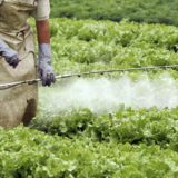 Contaminación del agua difusa de nitrógeno y fósforo