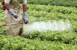 Contaminación del agua difusa de nitrógeno y fósforo