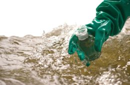 Investigadores mexicanos usan biotecnología ambiental para tratar aguas contaminadas